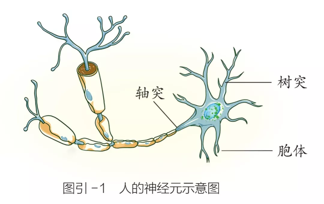 什么是人工智能？